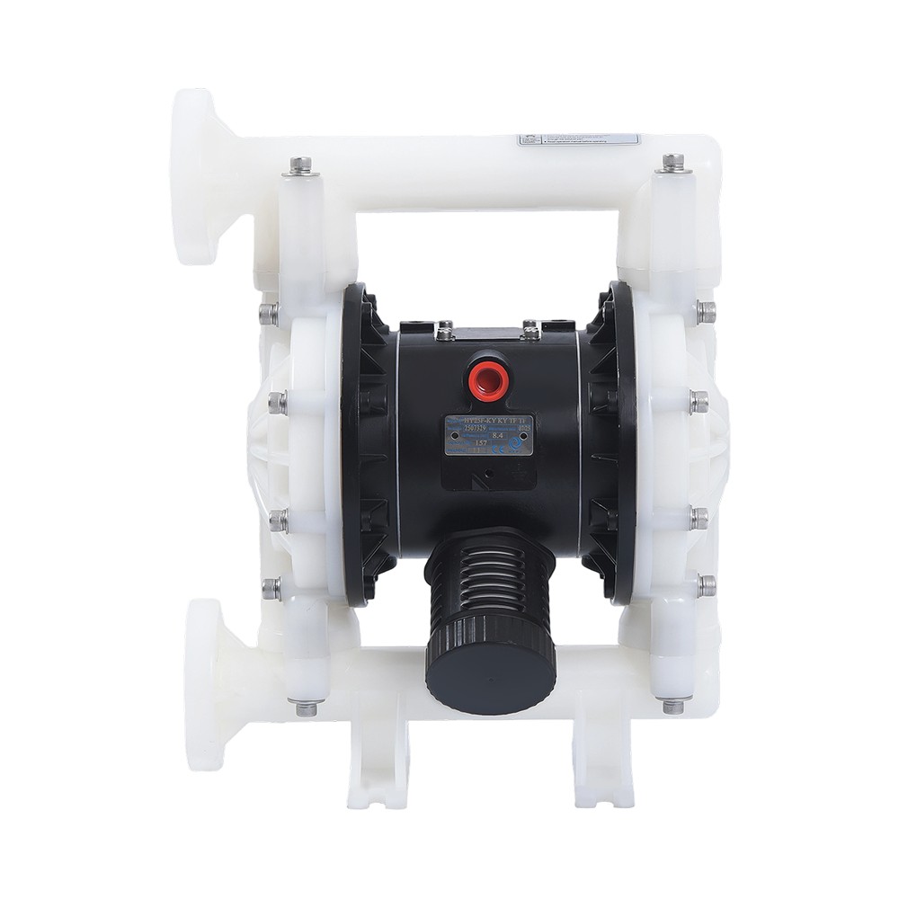 1" PVDF membranpump
